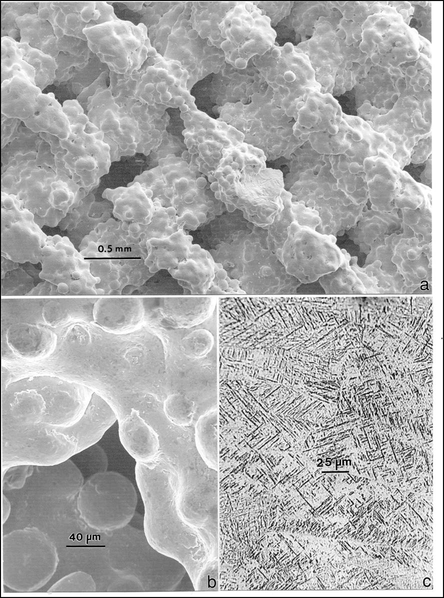 Figure 10. SEM and optical metallographic images of the dode-thin mesh component in Figure 9(f). (a) Square (hexahedral) mesh geometry in SEM. (b) Magnified view of (a).