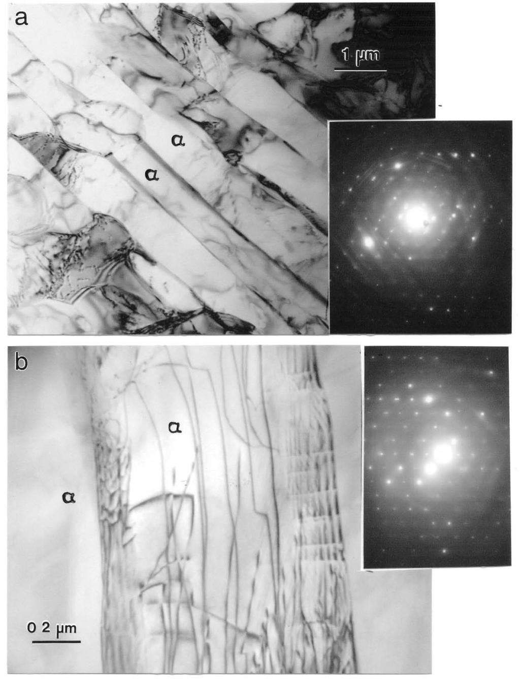 Figure 16. TEM bright-field image comparisons for (a) 0.91 mm thick window section corresponding to Figure 2(b), and (b) 0.