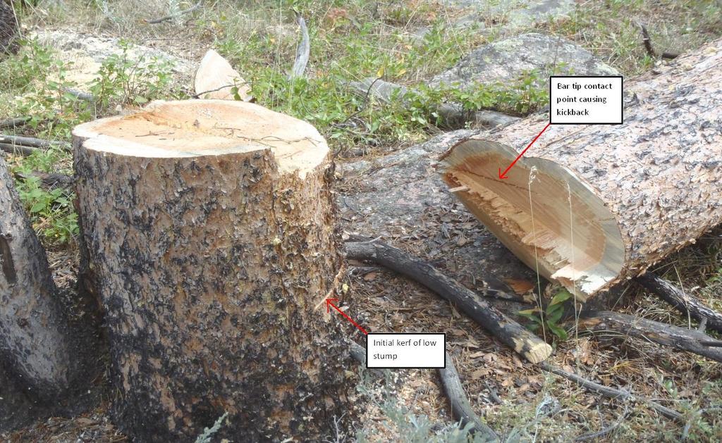 Summary The Lost Lake Facilitative Learning Analysis (FLA) was requested by the Forest Supervisor of the Shoshone National Forest in response to a firefighter receiving a chainsaw injury.