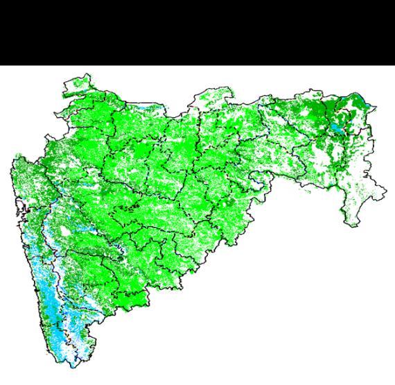Agricultural vigour is good over south-western part of Maharashtra, whereas other region shows moderate values.
