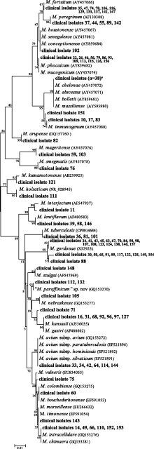 Angra Genotypic methods for identification Phylogenetics and Identification Nucleic acid-based Genotype