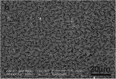 1 FE-SEM micrographs of MPD rods with Geometric pattern structure, (a), (c) and (e) and Chinese script pattern