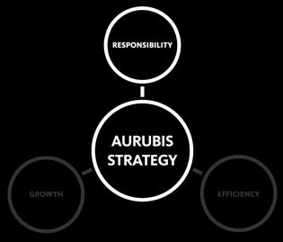 Our strategic focus Responsibility: guiding in everything we do Approach» Sustainability is an integral part of Aurubis Group Strategy with focus on economy, environment and people» Our expertise of