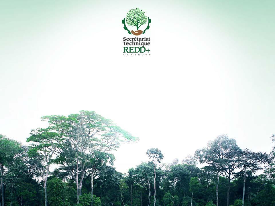 CAMEROON S FOREST INVESTMENT PLAN Presented by: THE