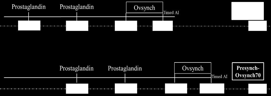 Both programs focused on inseminating cows based on estrus after the end of the VWP (53 DIM). Cows submitted to Ovsynch56 were treated with prostaglandin within 6 d after the end of the VWP.