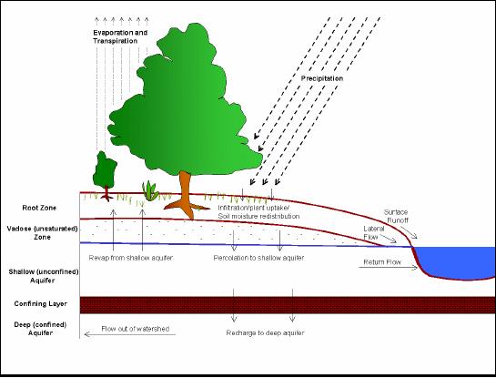 CONCEPTUAL REPRESENTATION OF THE WATER DYNAMIC MODELLING IN THE SWAT MODEL Precipitation Vegetation Storage Fraction of Precipitation to soil surface Direct Runoff Surface Storage