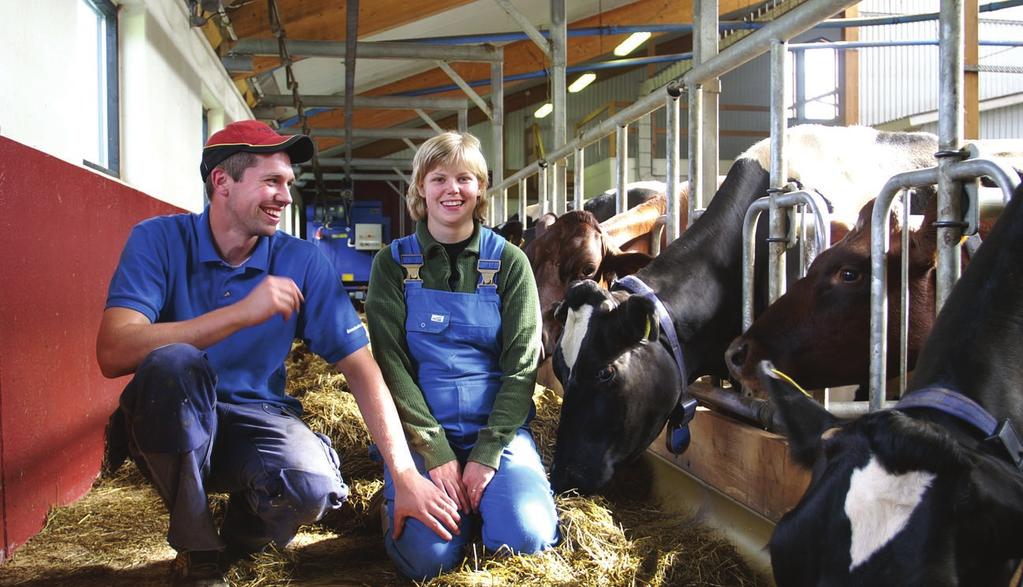 Are you involved in a young farmers organisation?.%.% Yes No.