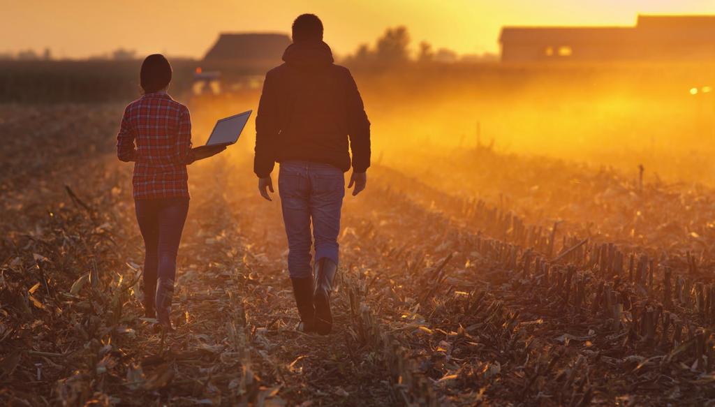 Agriculture is at the heart of the challenges of the st century: healthy food, energy and environment. Farming is a way of life which still speaks to the heart of many young people.