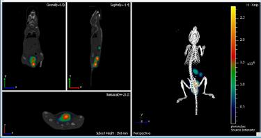 Joint platform technologies 1 st example: In vivo imaging, IVIS-CT at TWINCORE Cooperation between MHH, HZI and