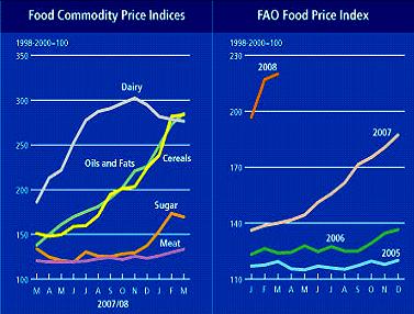 RISING FOOD PRICE AND ITS CONSEQUENCES Hem Raj Regmi (Msc) 19 ABSTRACT Agricultural prices have risen worldwide sharply in the last two years, which has been a dilemma especially to policy makers.
