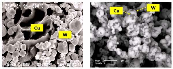 (a) (b) (c) Figure 3. SEMs of three 65W-35Cu powders; (a) W-Cu mixture, (b) W-Cu composite (CetaTech), and (c) W-Cu composite (H.C.Starck). (a) 85W-15Cu (b) 65W-35Cu Figure 4.