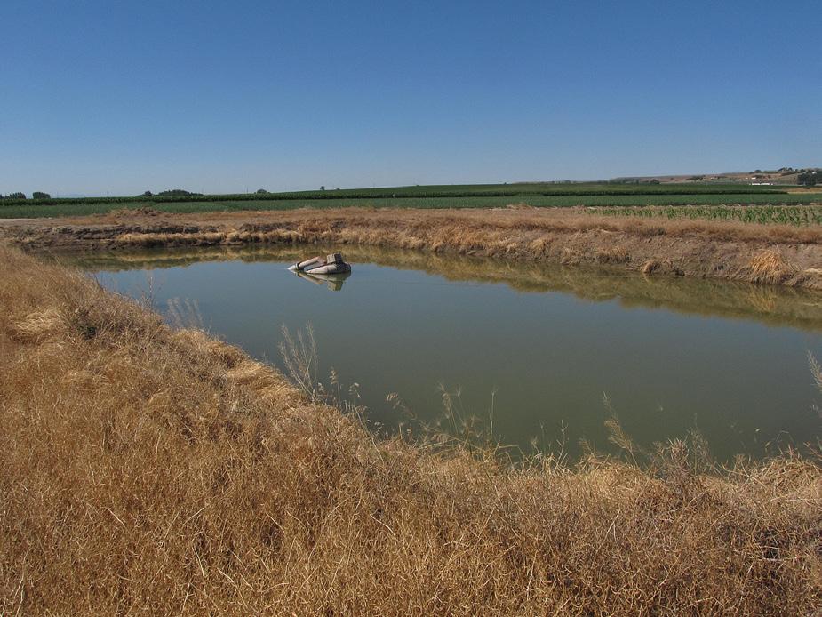 3 Figure 4. A sedimentation pond that utilizes a pumpback system to return runoff water to the field. Figure 5.