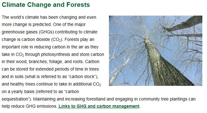 Enhance Public Benefits from Trees and Forests National Priority 3: Vermont Forest Resources Plan Priority Area Issue Addressed: Urban, Rural, and Rural/Residential Carbon sequestration Desired