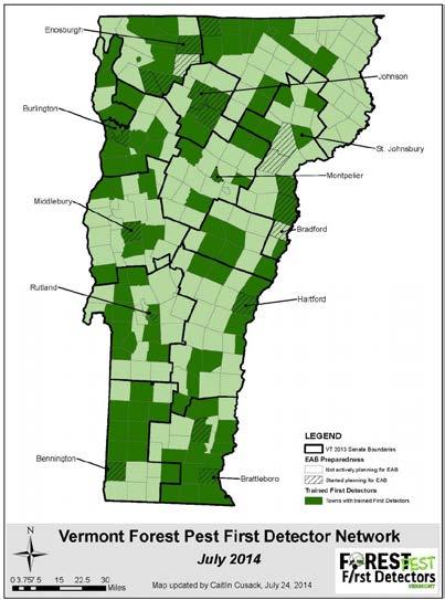 Forest Pest First Detector (FPFD) Program: In response to the growing threat of invasive pests pose to Vermont's forests, state and federal entities working together, targeting invasive tree pests,
