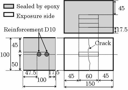 Investigation of Chloride Ingress in Cracked Concrete Treated with Water Repellent Agents introduced after applying the water repellent agent on two side surfaces.