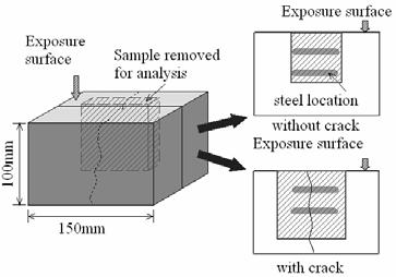 The total chloride ion concentration in each slice was determined based on an automated ionselective electrode method.