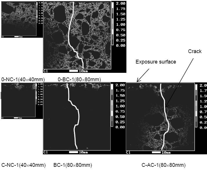 Investigation of Chloride Ingress in Cracked Concrete Treated with Water Repellent Agents Fig.
