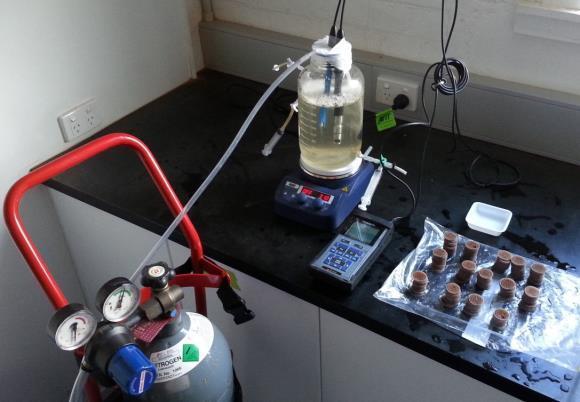 We also carried out many batch tests to evaluate the development of anammox activity in the different tanks (Figure 33). Figure 33. Preparation of a batch test for determination of anammox activity.