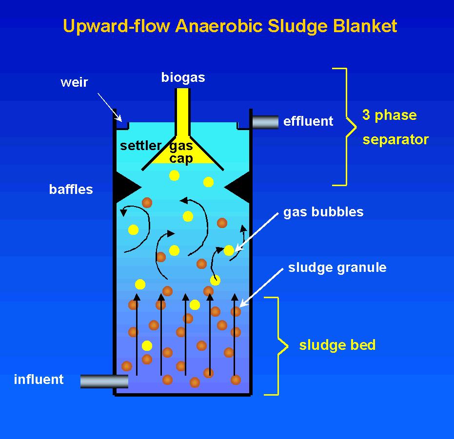 Upflow anaerobic sludge blanket (UASB) reactor Upflow anaerobic sludge blanket (UASB) reactor is a methanogenic digester that evolved from the anaerobic digester.