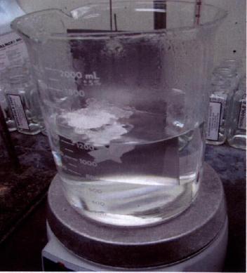 Figure 2-4. Soil Floating To Top Of Beaker At the lower temperature, only propylene carbonate and Soy Gold 2500 removed the soil and they accomplished this within 30 minutes.