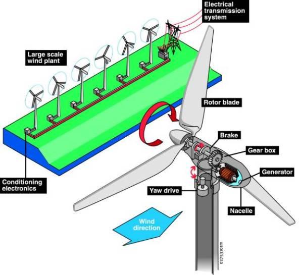 Schematic of Wind Plant At it s simplest, the wind turns the turbine s blades, which spin a shaft connected to a generator that makes electricity.