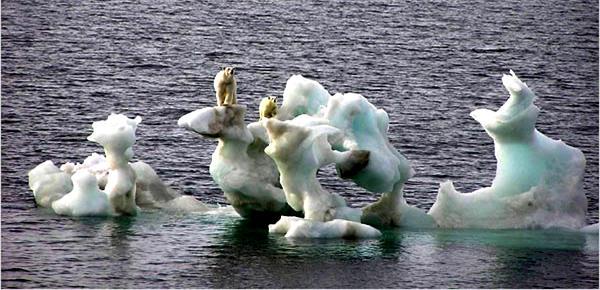 Global Warming: The Greatest Threat 2006 Deborah L.