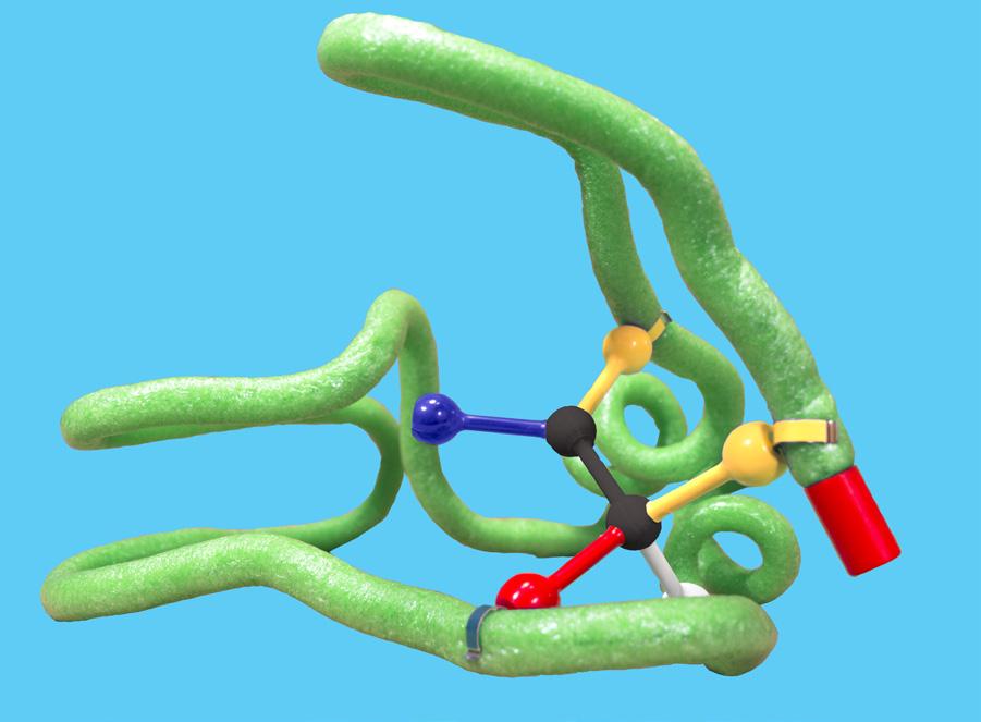 Creating Variant Forms of the Enzyme Imagine that a mutation in the DNA has caused a variant