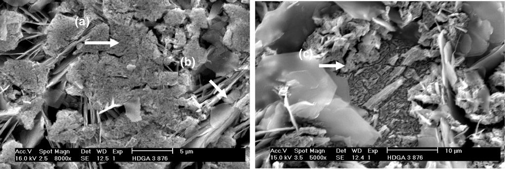 F.M. Queiroz, I. Costa / Surface & Coatings Technology 201 (2007) 7024 7035 7033 Fig. 10. Scanning electron micrographs of galvannealed steel surface after anodic polarization up to 876 mv.