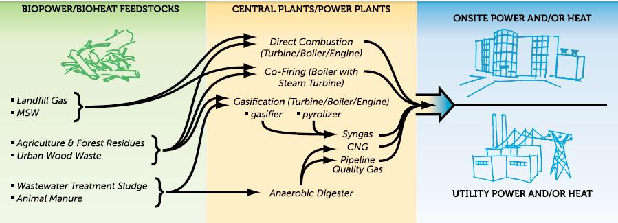 Biomass feedstocks- conversion technologies for energy Biomass