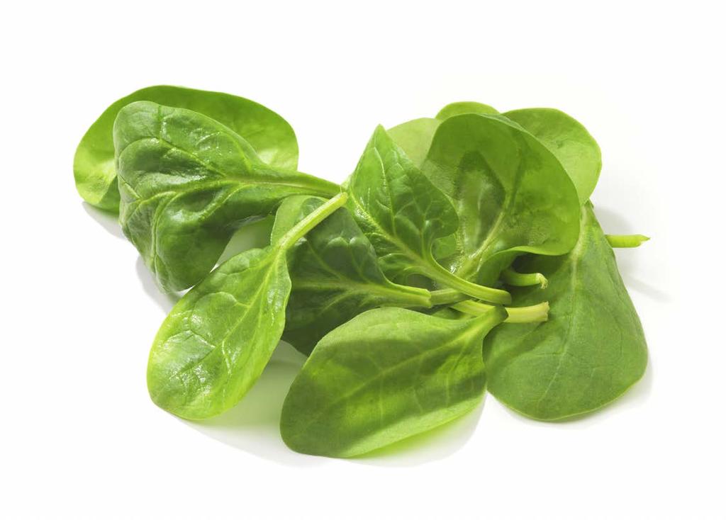 Spinach Sequencing Research Consortium Established October 2012