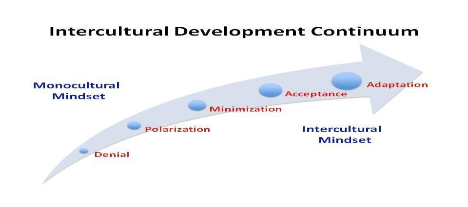 Intercultural Development