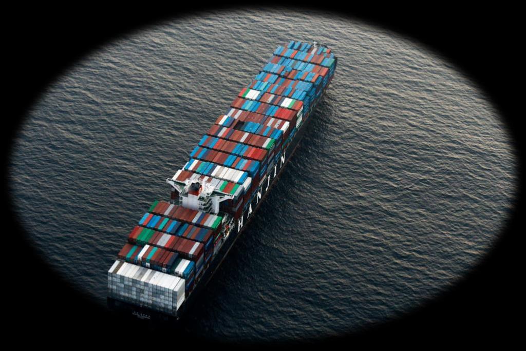 Supply Chain Visibility - Example Issue A global ocean carrier suddenly