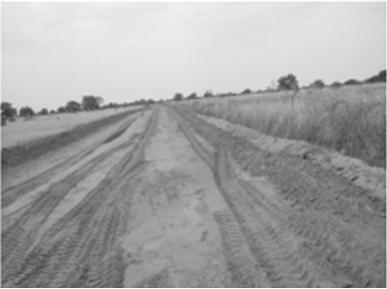 Salif Diop, et al.: Combating Desertification and Improving Local Livelihoods through the GGWI in the Sahel Region: the Example of Senegal 261 2.