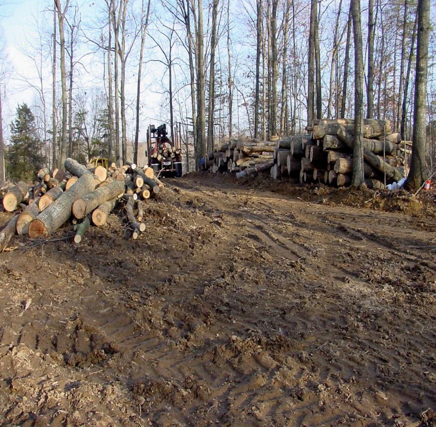 Log Decks Locate at least 50 feet outside of SMZ Choose well-drained site such as ridgetop