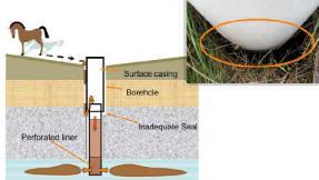 Properly maintain septic system Have water quality
