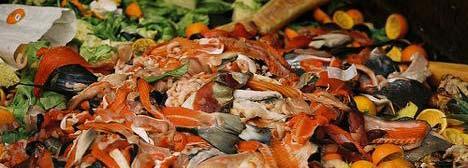 Organics Food Waste A HUGE area of opportunity 12% of the waste generated