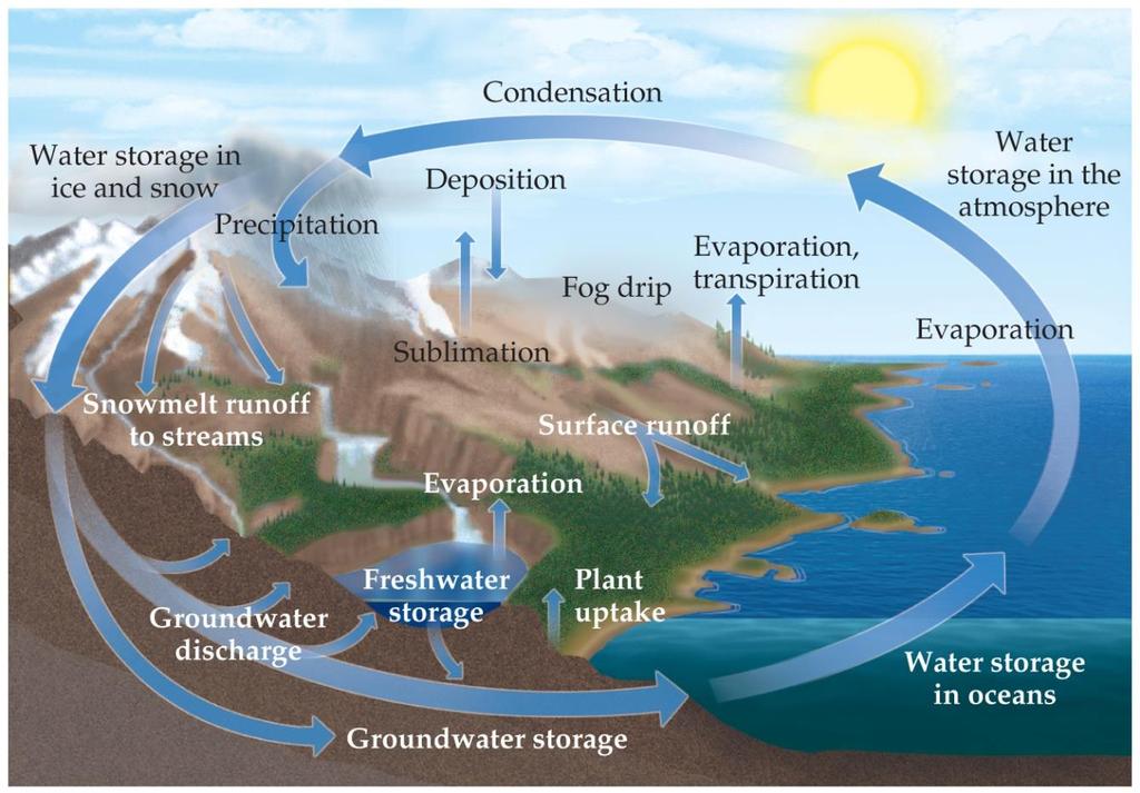 The Global Water Cycle Most processes