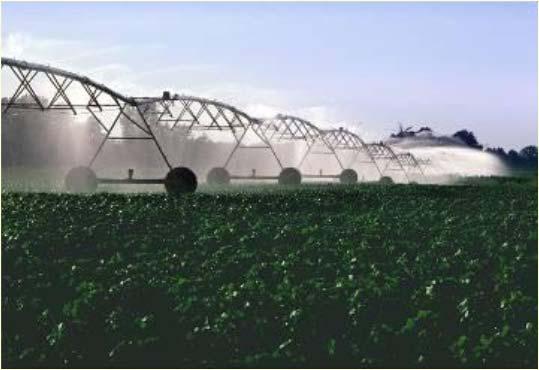 water is safe to use Test water that contacts edible portion of crop and keep records of all water test