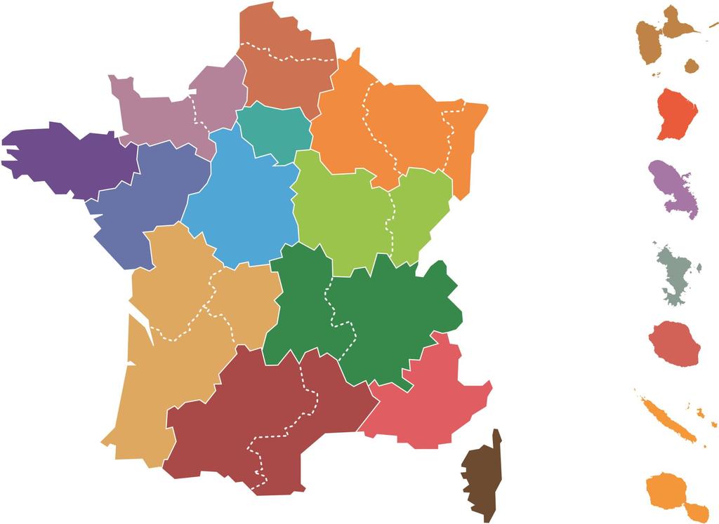 FRENCH REGIONS HAUTS-DE- FRANCE 18 regional departments 9 territorial departments 2 branch offices GUADELOUPE NORMANDY PARIS REGION GRAND EST FRENCH GUIANA BRITTANY MARTINIQUE PAYS