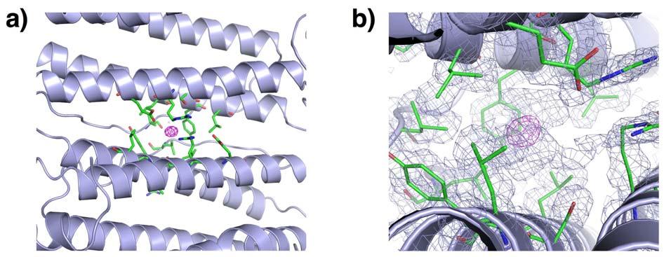 Refinement: The structures of protein moieties of the apo-ferritin-ferrocenes composites were determined by molecular replacement with MOLREP using an apo-fr structure (pdb ID: 1DAT) as the initial