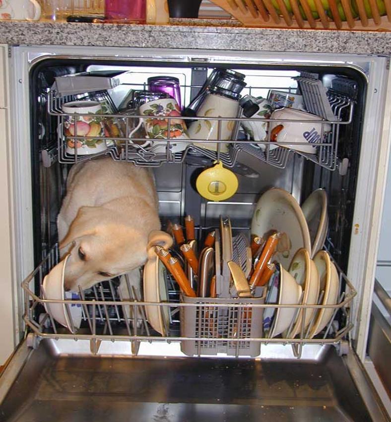 Kitchen Dishwasher Hydraulic surges of wastewater Space out loads Organic load Clean/scrape plates Garbage Disposal Increases scum by 20%