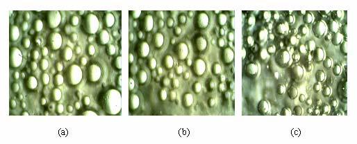 Preparation and Characterization of Microsponge Formulations Table 17 Effect of stirring speed on the size of microsponge formulations Stirring Speed Size (µm) (rpm)