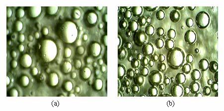 Preparation and Characterization of Microsponge Formulations Figure 23 Photomicrographs of dicyclomine loaded microsponges (FDS1) prepared at different stirring rates (a) 500 rpm;
