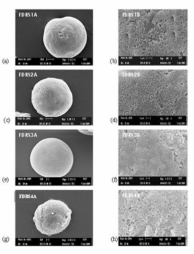 Preparation and Characterization of Microsponge Formulations Figure 33 (a-h) SEM photograph of microsponge formulations (dicyclomine: