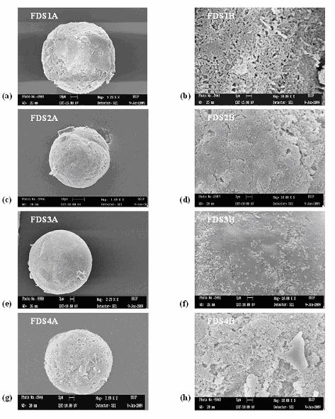 Preparation and Characterization of Microsponge Formulations Figure 34 (a-h) SEM photograph of microsponge formulations (dicyclomine: