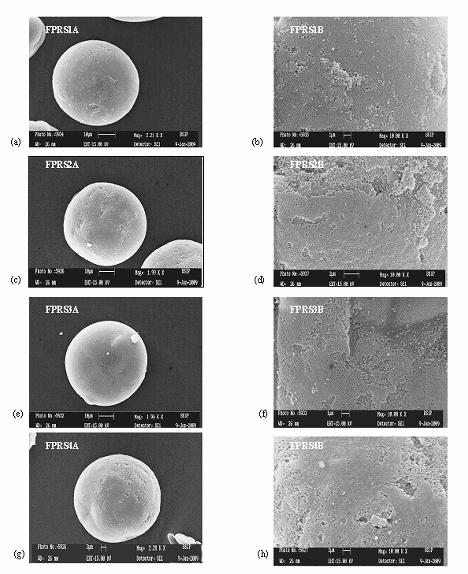Preparation and Characterization of Microsponge Formulations Figure 35 (a-h) SEM photograph of microsponge formulations (paracetamol:
