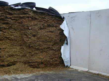 sidewall plastic Relating dry matter density to dry matter loss in corn silage bunker silos in