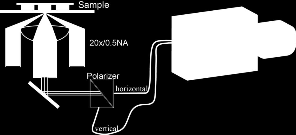 The fabricated nanostructures were optically characterized using the schematic described in Figure 4.