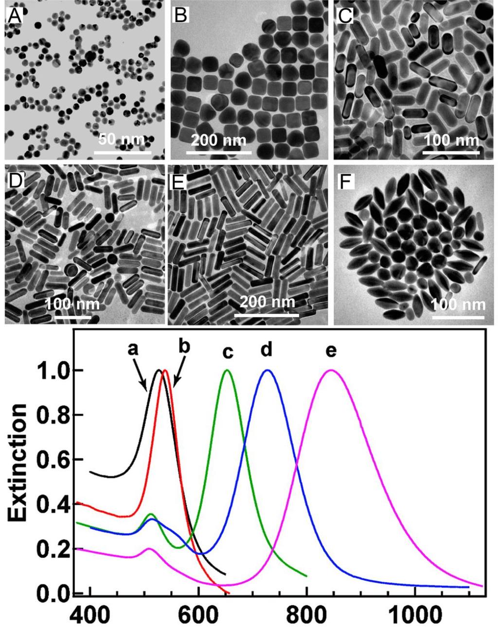 Figure 1.8 (top) TEM images of Au nanostructures of various shapes and sizes. (A) Nanospheres, (B) Nanocubes, (C) Nanorods (AR=2.4), (D) Nanorods (AR=3.