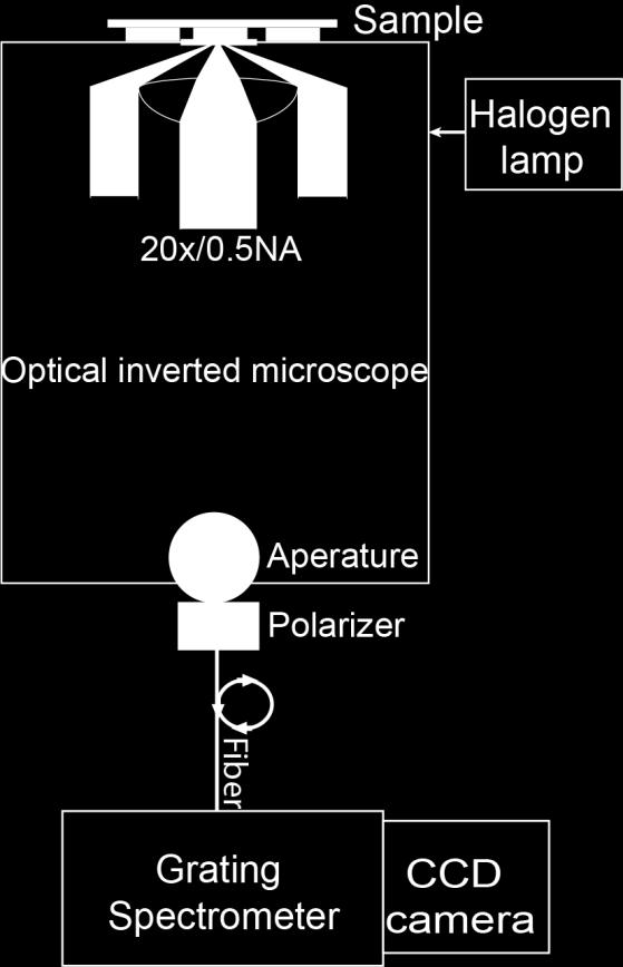 5 Schematic of the optical setup used for scattering measurements. 3.